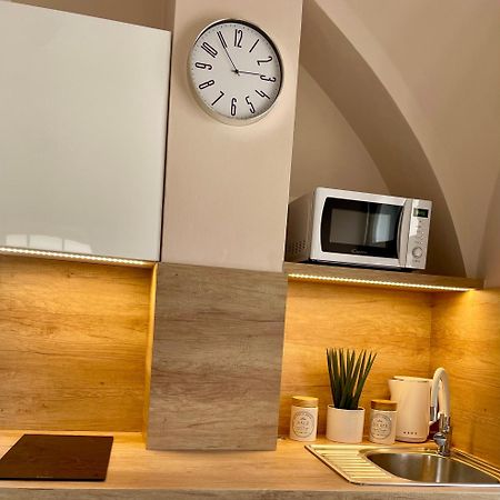 Apartman Dominikanska Litoměřice エクステリア 写真