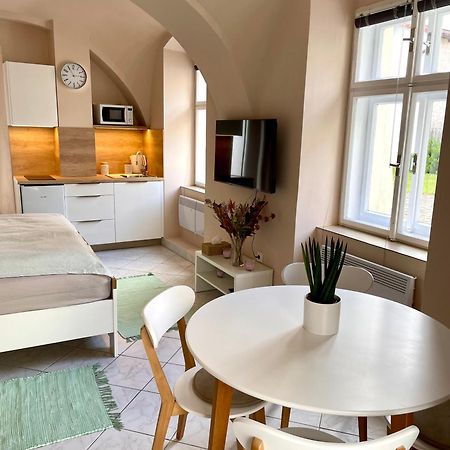 Apartman Dominikanska Litoměřice エクステリア 写真
