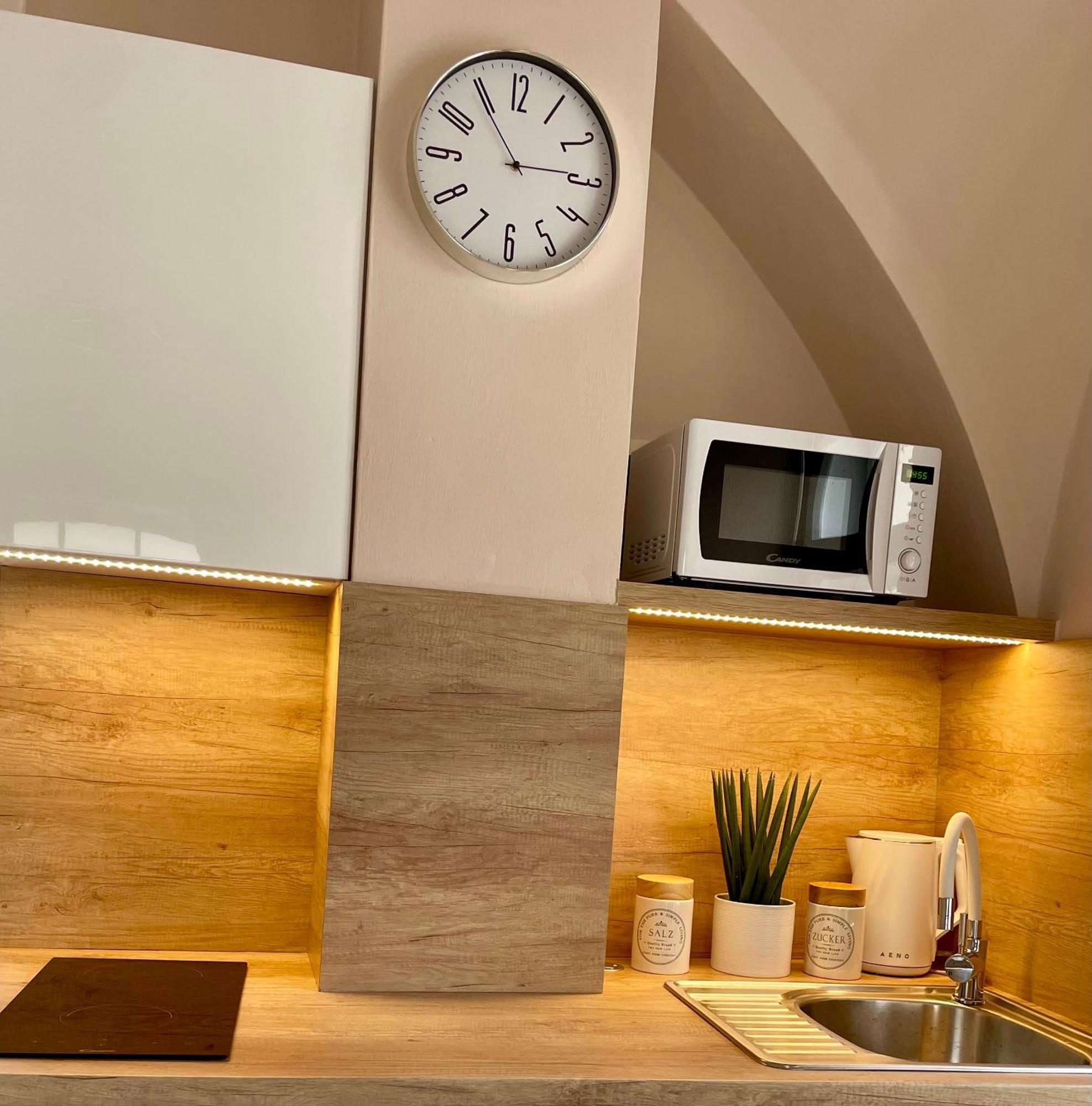 Apartman Dominikanska Litoměřice エクステリア 写真