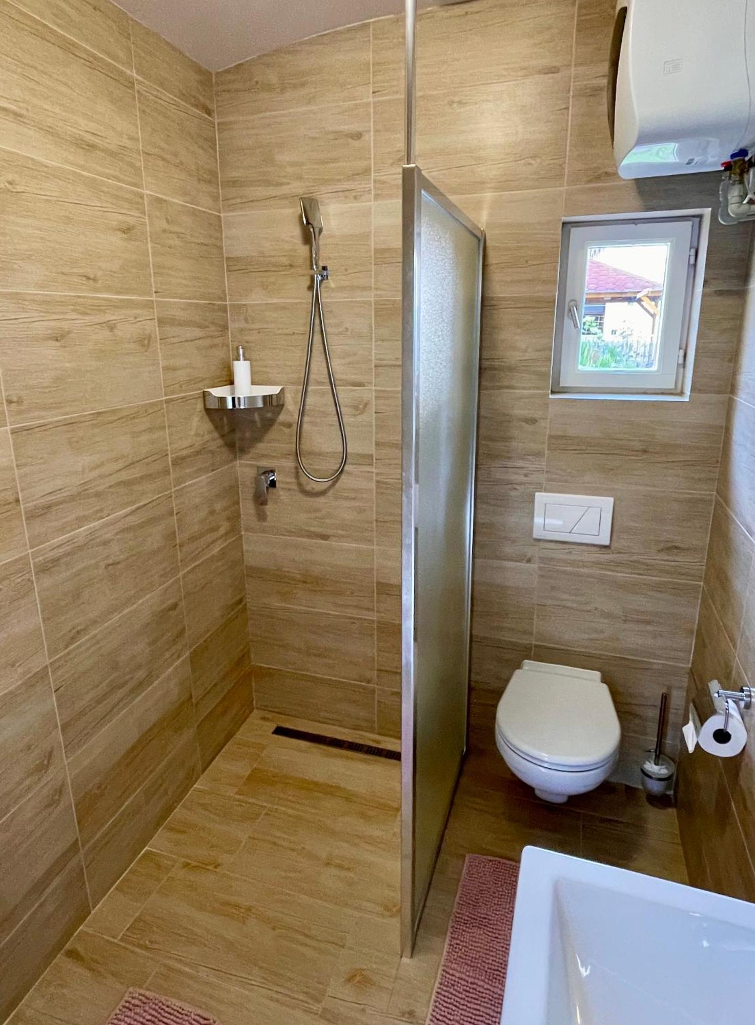 Apartman Dominikanska Litoměřice エクステリア 写真